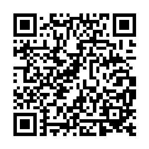 是为数不多的手中掌握着圣骑士武装的红衣大主教……二维码生成