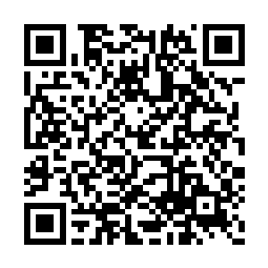 是人间的一切再次刷新了自己对七彩之境的看法二维码生成