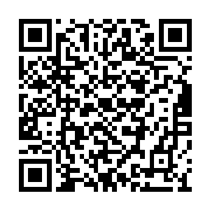 是什么原因……能让一个种子脱离超脱者的控制二维码生成