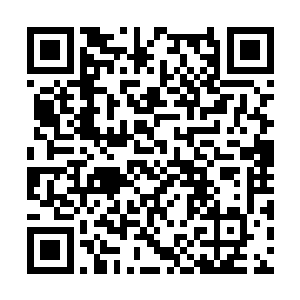 是什么时候被你安排到东兴那些主要人物身边去的二维码生成