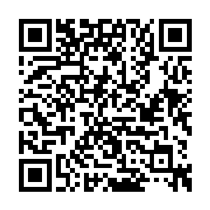 是从洗面奶到肌底液再到粉饼的一整套药妆产品二维码生成