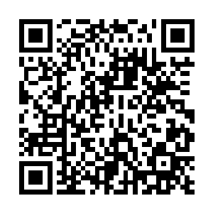 是从西方殖民者和他们的走狗手下解放我的国家和人民二维码生成