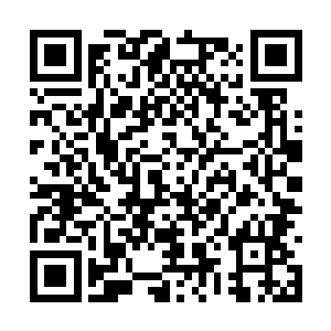 是他们修炼的力量体系和这个世界的力量格格不入二维码生成