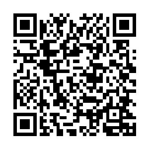 是他在还没查明情况之下就在这里把暗幽林给召了出来二维码生成