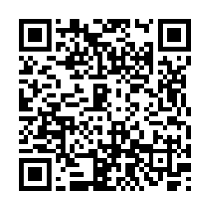 是他帮我请的大夫……他不嫌弃我是这样的一个人二维码生成