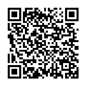 是他想着凌菲可能在自己家呆着更舒坦所以才拦着凌雅没过来二维码生成