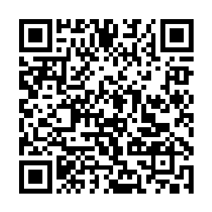 是他看见神机宝盒里的东西时发出来的……也就是说二维码生成
