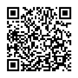 是代表她家族企业瑞德制药过来跟我们商谈合作事宜的……二维码生成