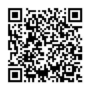 是以上古仙人合力开辟了一方独立于平行空间内的幻境二维码生成