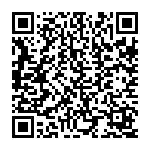 是以此刻得知出手为自己解围之人乃是紫千幻这个名动迷族的五皇子二维码生成