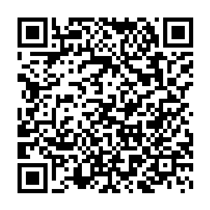 是以现如今的二货在面对叶帝叶凰还有金鹰虚空藤三尺红尘等的时候二维码生成