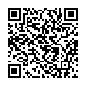 是以自己的死亡引来幽冥界法则之力去拼敌人的命二维码生成