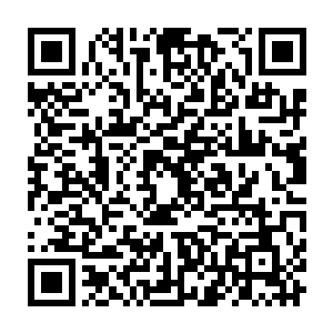 是以那最适合契合的七种花草赋予那由她元神而生的木源种的全新人生的木之道二维码生成