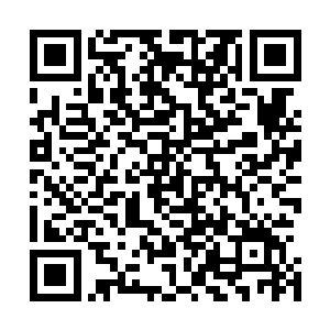 是位于卡鲁尔战区后方120多公里外的小城布拉佩最好的医院二维码生成