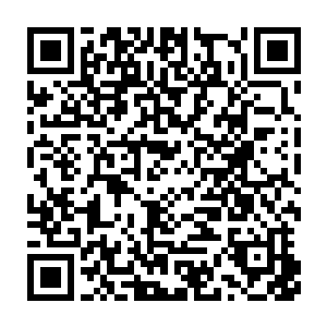 是余地龙和暂时没有跟随大雪龙骑赶赴凉州北线的吕云长在切磋技击二维码生成