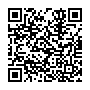 是你让老奴跟外人说是六小姐将大小姐推下假山的二维码生成