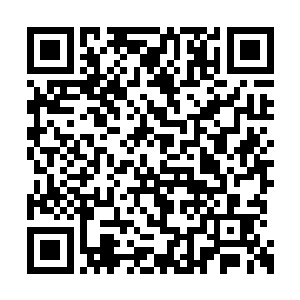 是侍弄老太太呢还是帮着儿子呢还是责骂梓箐呢二维码生成