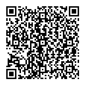 是像原剧情中一样以最好的成绩进入最好的学府嫁最好的男人勾搭最帅最年轻最有钱的公子哥吗二维码生成