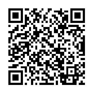 是关于之前她想要和你谈到关于凌桦被侵权的案子二维码生成