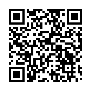 是十几个修为在斩三尸左右的小家伙二维码生成