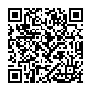 是可以将天地之间的各种属性的灵气全都吸收的二维码生成