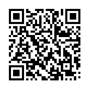 是向印副县长汇报大化镇经济建设情况的二维码生成