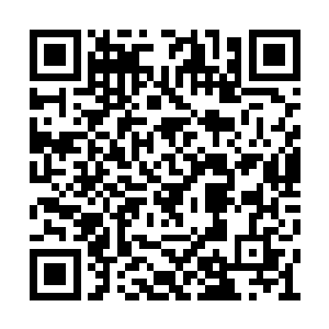 是吞噬诸天万界的洪潮的一朵小小浪花的真面目二维码生成