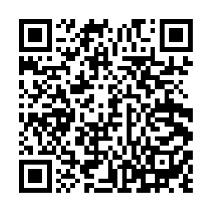 是唐劫根据金灵虫的特性后交代何冲特别培育出来的二维码生成