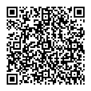 是啊……生死之交……只可惜……只可惜……此生仍旧未能报答君主大人大恩……就此一命呜呼二维码生成