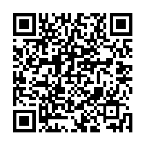 是四象联盟划分给小星君的无极境护卫当中实力最强的一人二维码生成