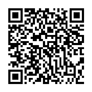 是因为丁林和赵淑英两个人在整个小区的人缘也是非常的好二维码生成