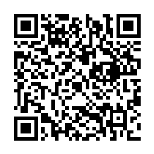 是因为下官仔细梳理研究了这伙倭寇后得出的结论二维码生成