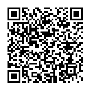 是因为两年之后黛玻菈还会不会继续做经纪人这一行都还说不清楚二维码生成