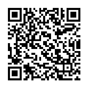 是因为今时今日的畀老湿……的确是可以被当成一种二维码生成