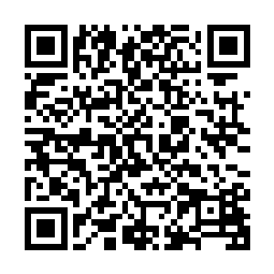 是因为他们都知道县尊朱平安前段时间为了给守城青壮兑现赏金二维码生成
