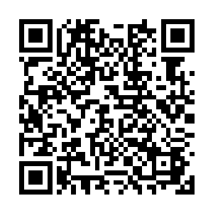 是因为他听白爱月说陈观已经把朱所长撂到了地上二维码生成