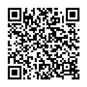 是因为他感觉这个女子的气息他似乎在哪里见过二维码生成