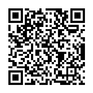 是因为他确实也很认同沈喜臻助曦国拿下泖国的勇气和能力二维码生成
