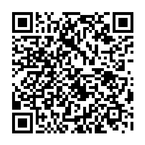 是因为他能肯定现在他脑海中出现的诸多新阵法是他自己之前都不曾了解到的二维码生成