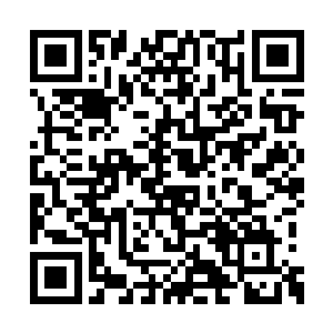 是因为你和那些方方正正的大家闺秀不一样罢了二维码生成