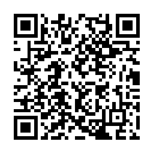 是因为值夜的规矩是万法堂的元婴老祖们定下来的二维码生成