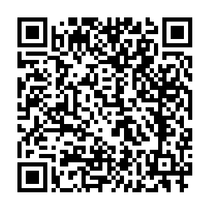 是因为南方巫师联盟差不多已经有快五十年没有发布蛮荒开拓令了二维码生成