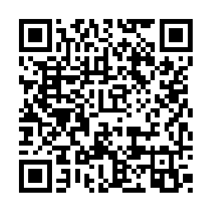 是因为历代定王的性格和能力都十分的不好把握二维码生成