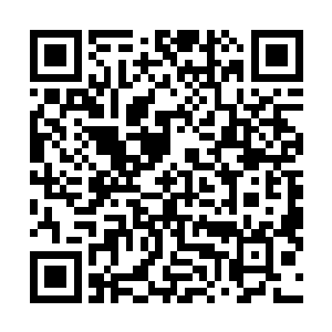 是因为多数的半步神通者都像张均一样经历过心障的突破二维码生成