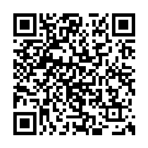 是因为夺舍的元婴通常修为都高于被夺舍的修士二维码生成