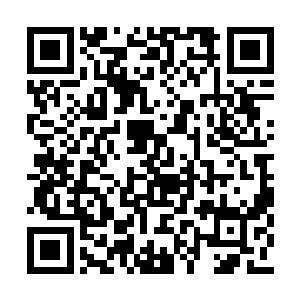 是因为她知道王美兰绝不是只看得到眼前利益的二维码生成