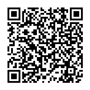 是因为它们无论在魔界还是凡人界等等诸天万界中都是没有记载过的生物二维码生成
