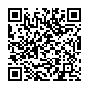 是因为当时某族的一位长老便是被杀手皇朝的人给斩杀了二维码生成