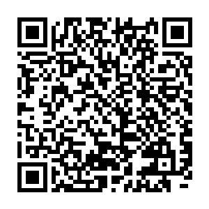 是因为我家小舞早在万鬼窟时候就可以控制着其身体看起来如同普通乳白色长绳二维码生成