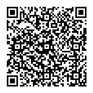 是因为我是用了弹射器这种特殊的射出手段吗……还是说这技能生成的弹药根本就是无法躲开的呢……二维码生成